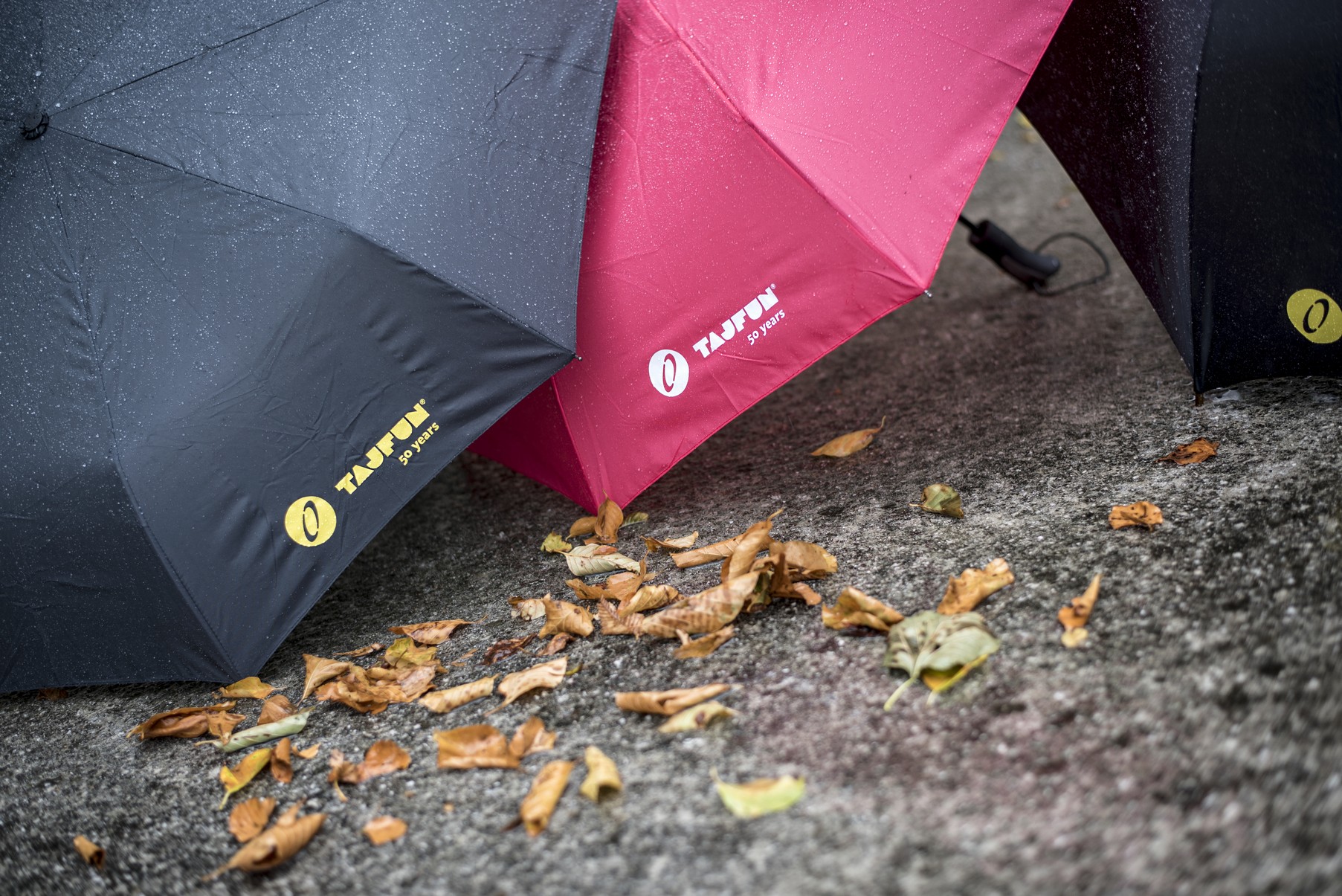 Tajfun umbrella - foldable